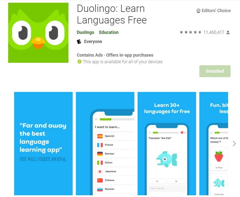 13 best foreign language learning apps you should try 3